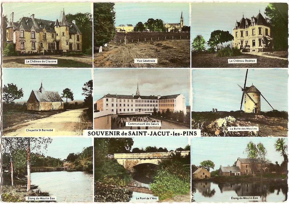 Dictons de Saint-Barnabé : météo, moissons et folklore